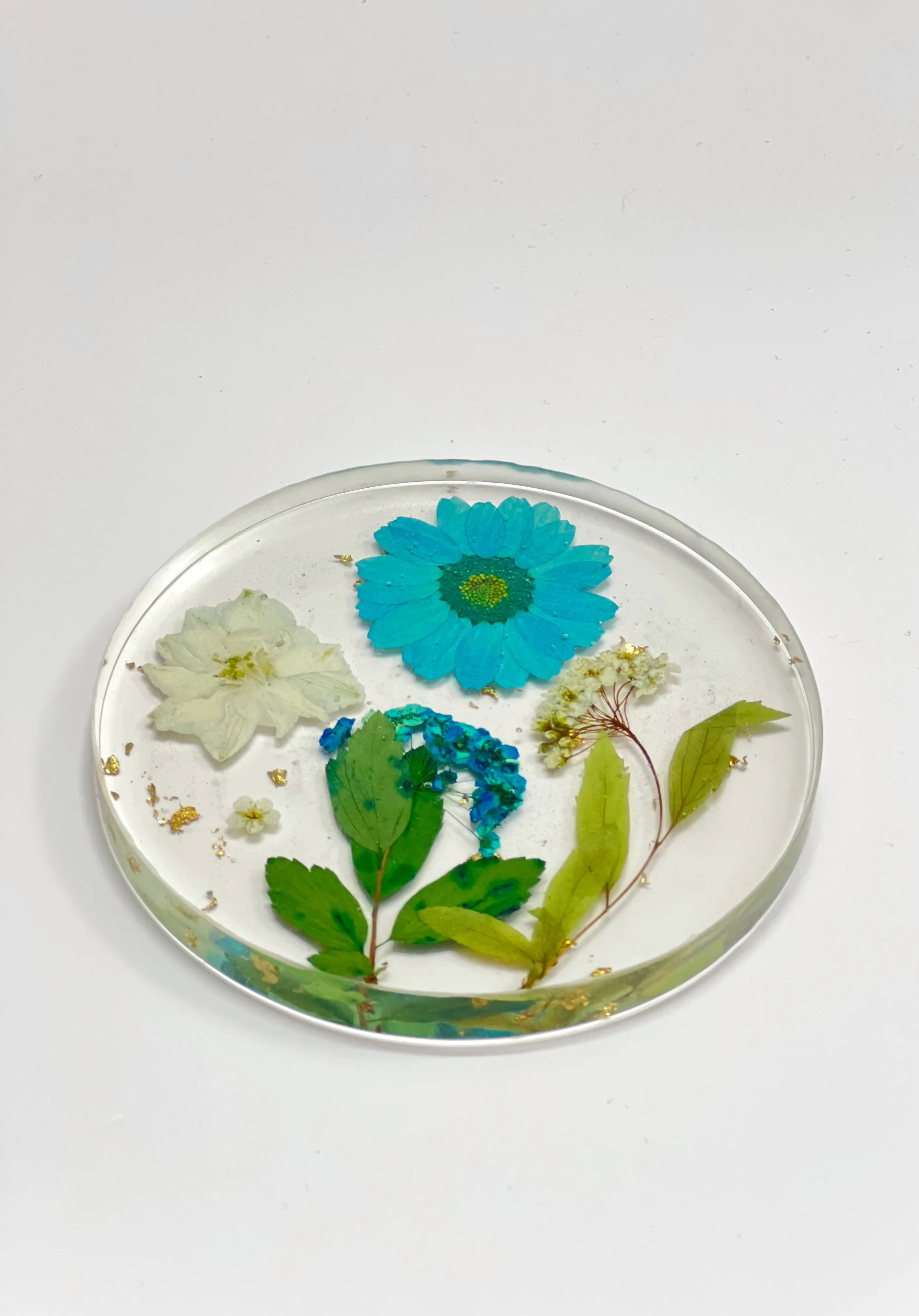 Blue Daisy Fern Round Coasters — photo 1 of 3
