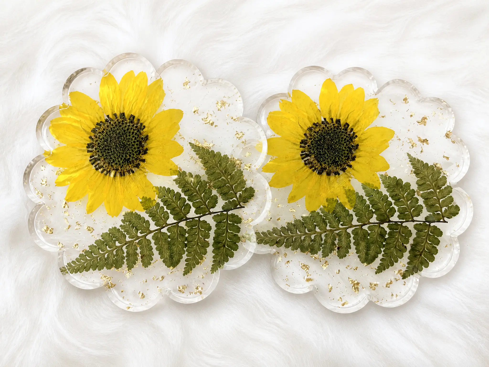 Sunflower Fern Coasters